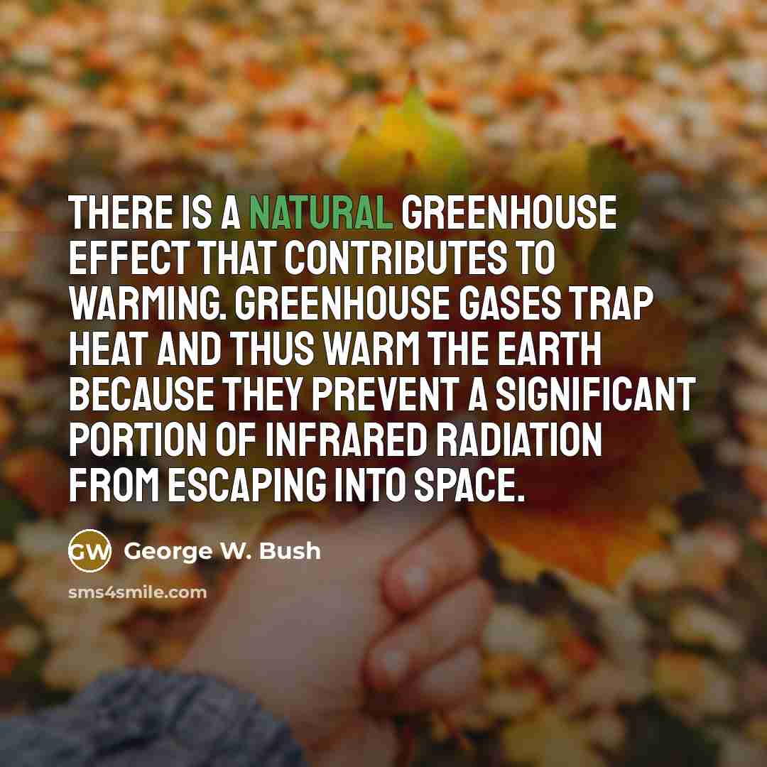“There is a natural greenhouse effect that contributes to warming.…” quote by George W. Bush