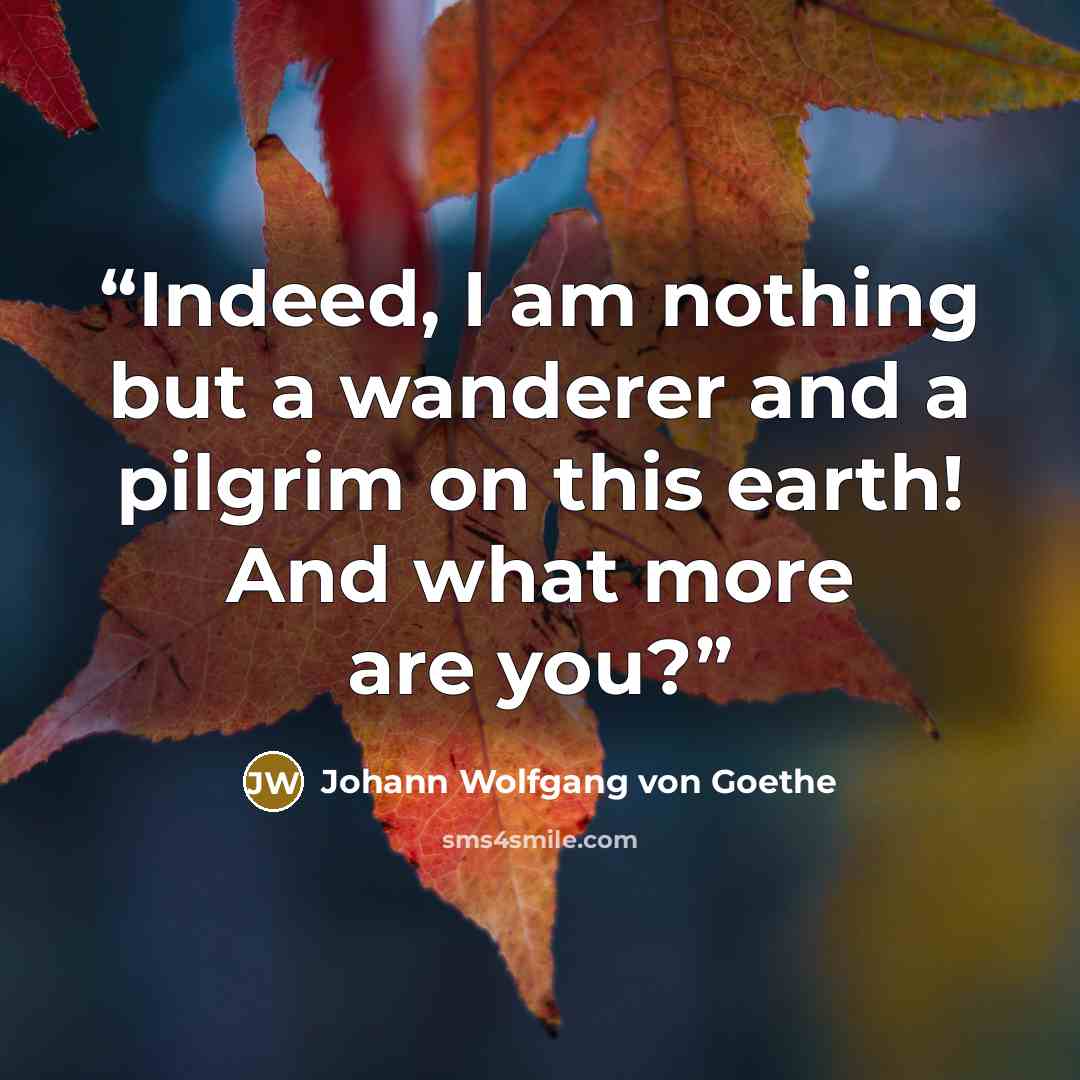“Indeed, I am nothing but a wanderer and a pilgrim on this earth! And what more are you?” quote by Johann Wolfgang von Goethe