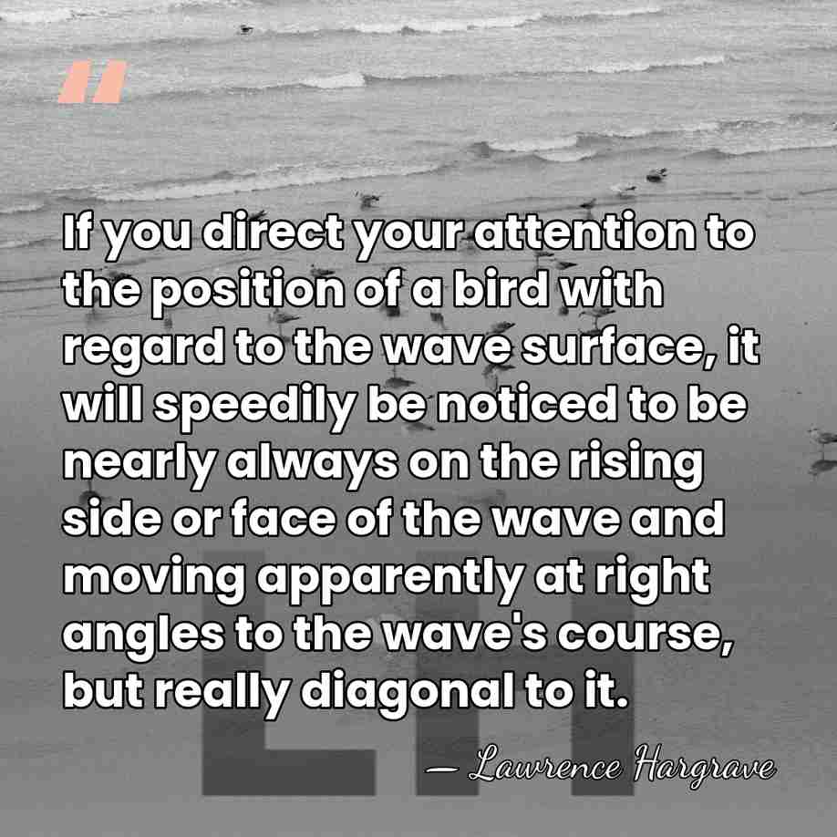 If you direct your attention to the position of a bird with&hellip; - Lawrence Hargrave