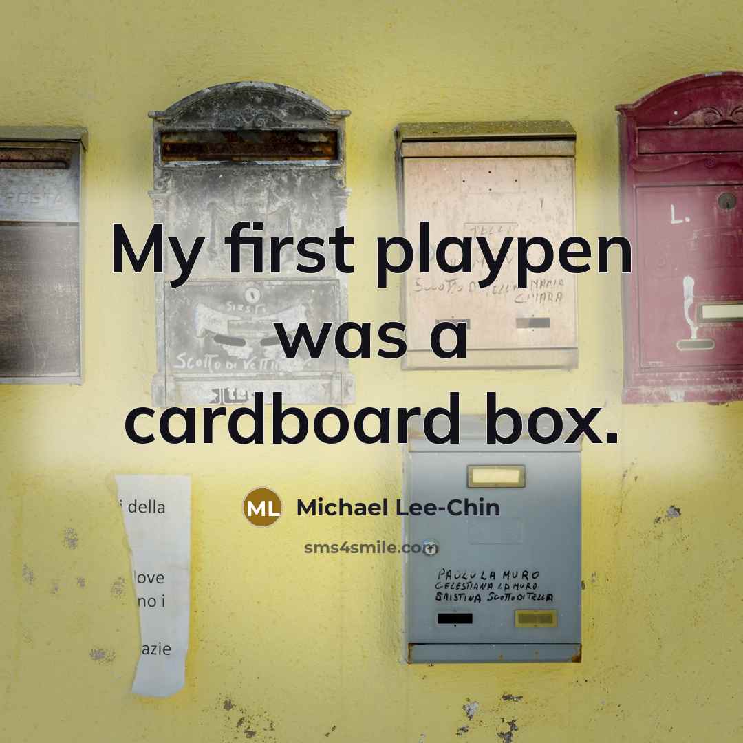 “My first playpen was a cardboard box.…” quote by Michael Lee-Chin