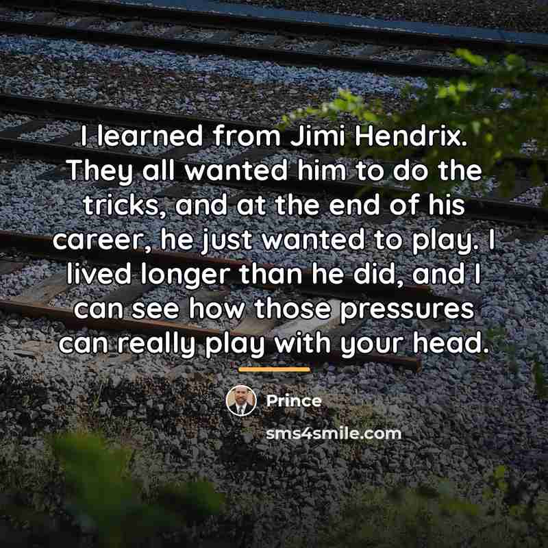 “I learned from Jimi Hendrix. They all wanted him to…” quote by Prince