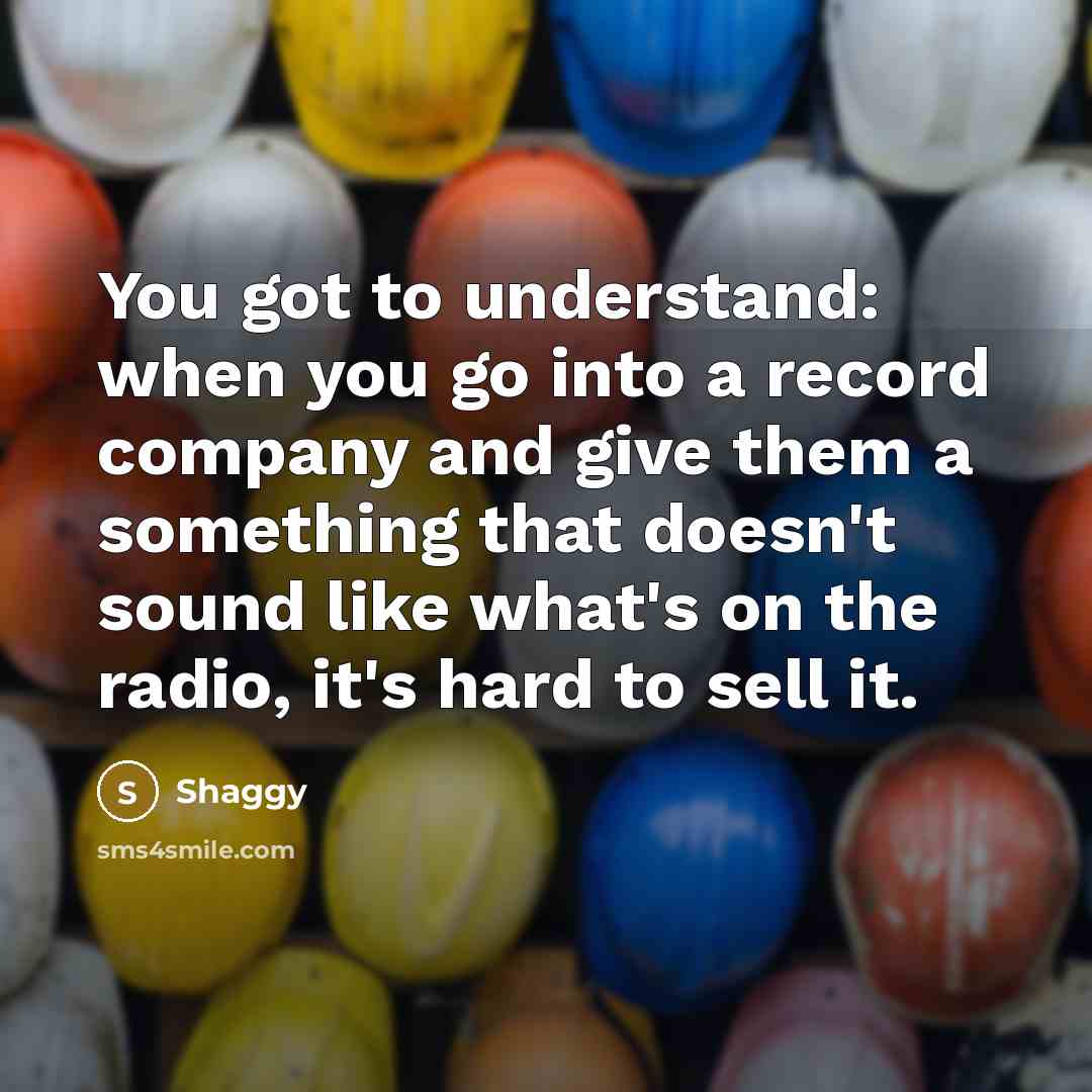 “You got to understand: when you go into a record…” quote by Shaggy