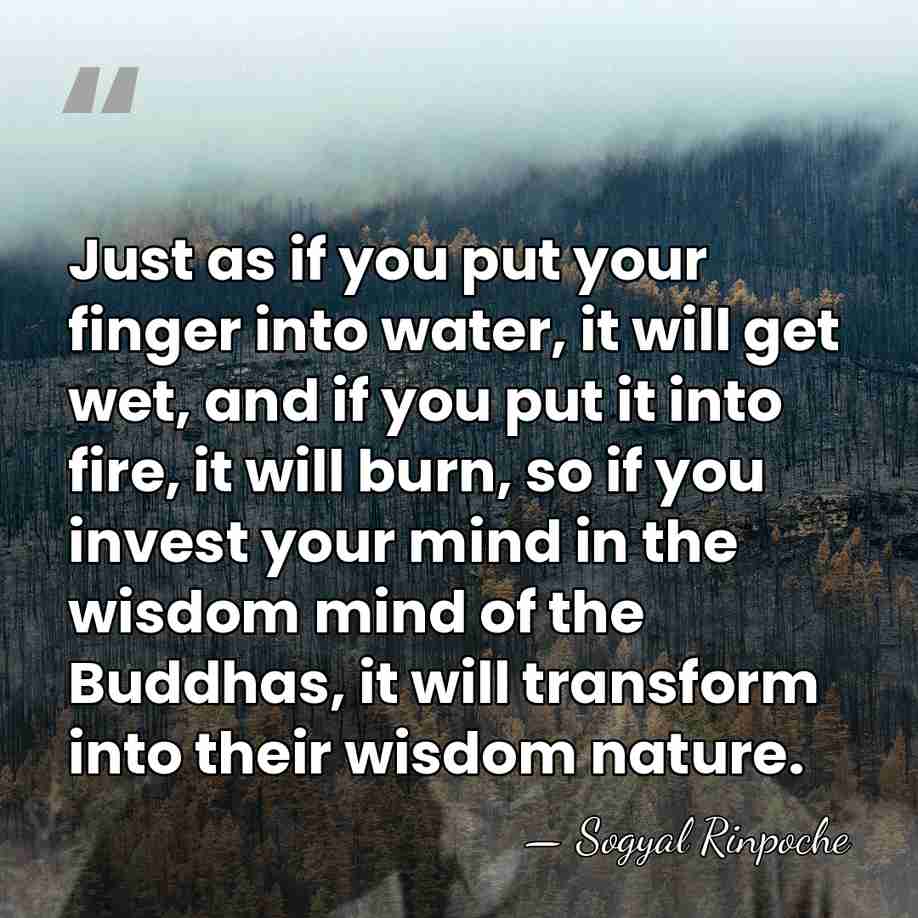Just as if you put your finger into water, it will get&hellip; - Sogyal Rinpoche