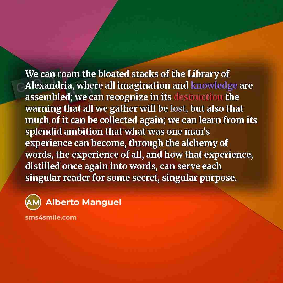 “We can roam the bloated stacks of the Library of…” quote by Alberto Manguel