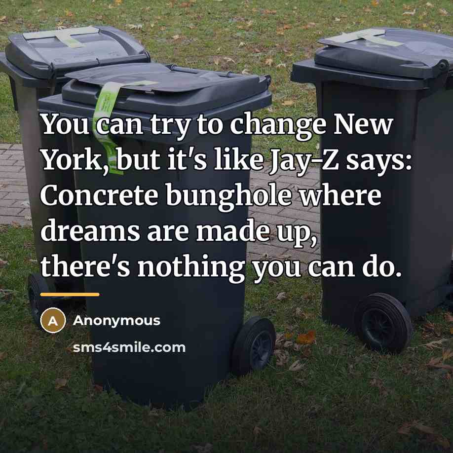 “You can try to change New York, but it's like…” quote by Anonymous