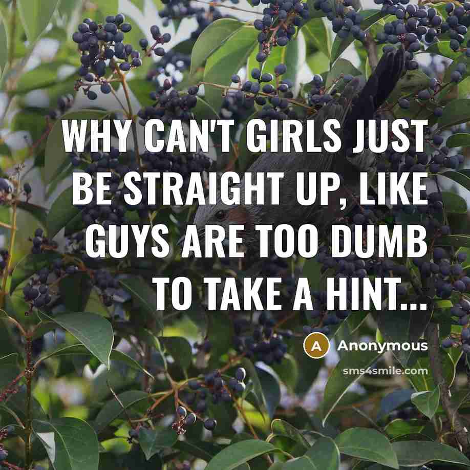“Why can't girls just be straight up, like guys are too dumb to take a hint...” quote by Anonymous