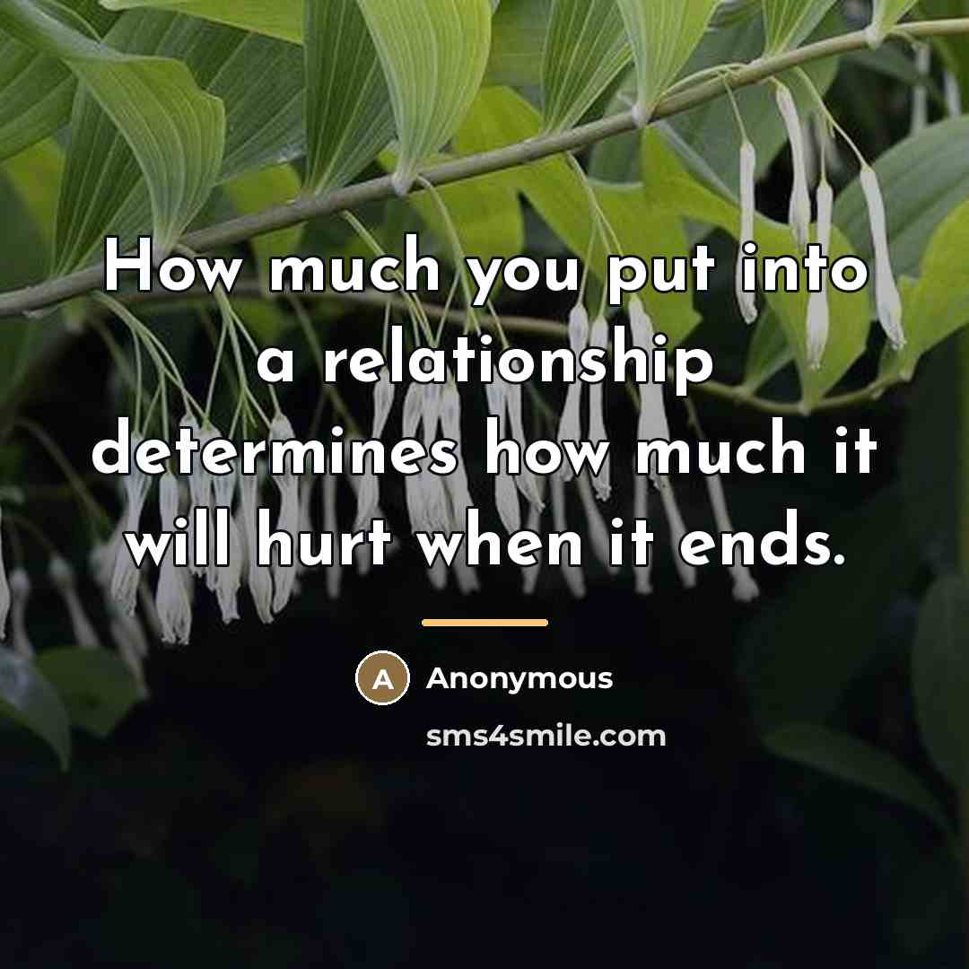 “How much you put into a relationship determines how much…” quote by Anonymous