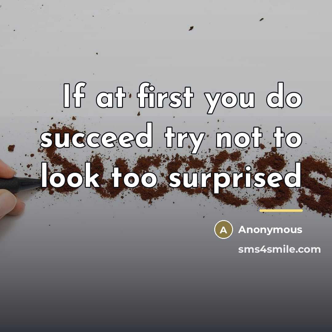 “If at first you do succeed try not to look…” quote by Anonymous