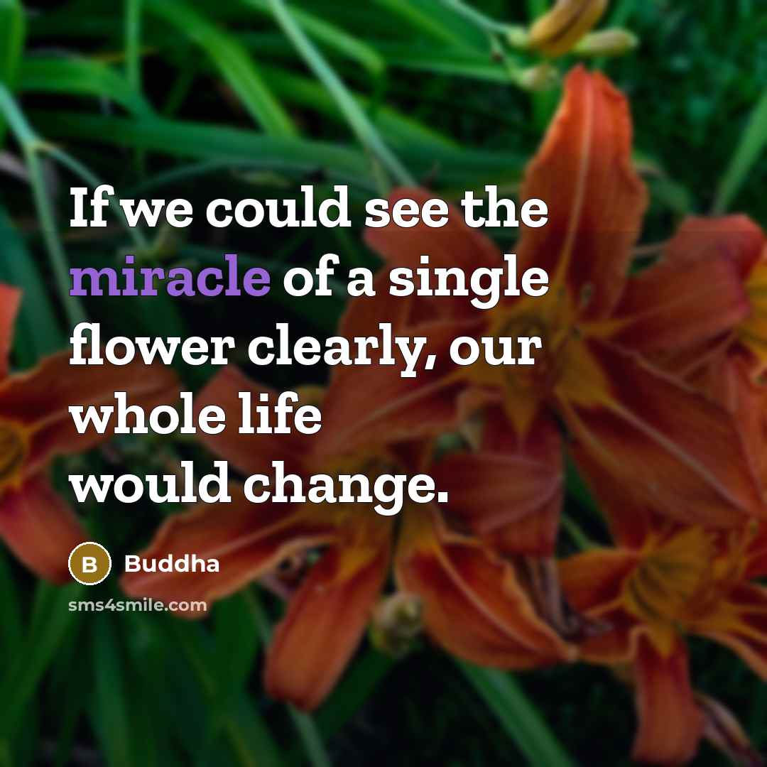 “If we could see the miracle of a single flower…” quote by Buddha