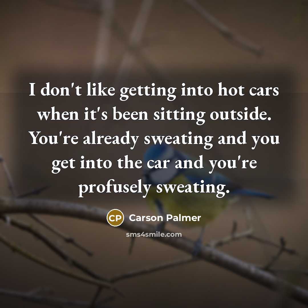 “I don't like getting into hot cars when it's been…” quote by Carson Palmer