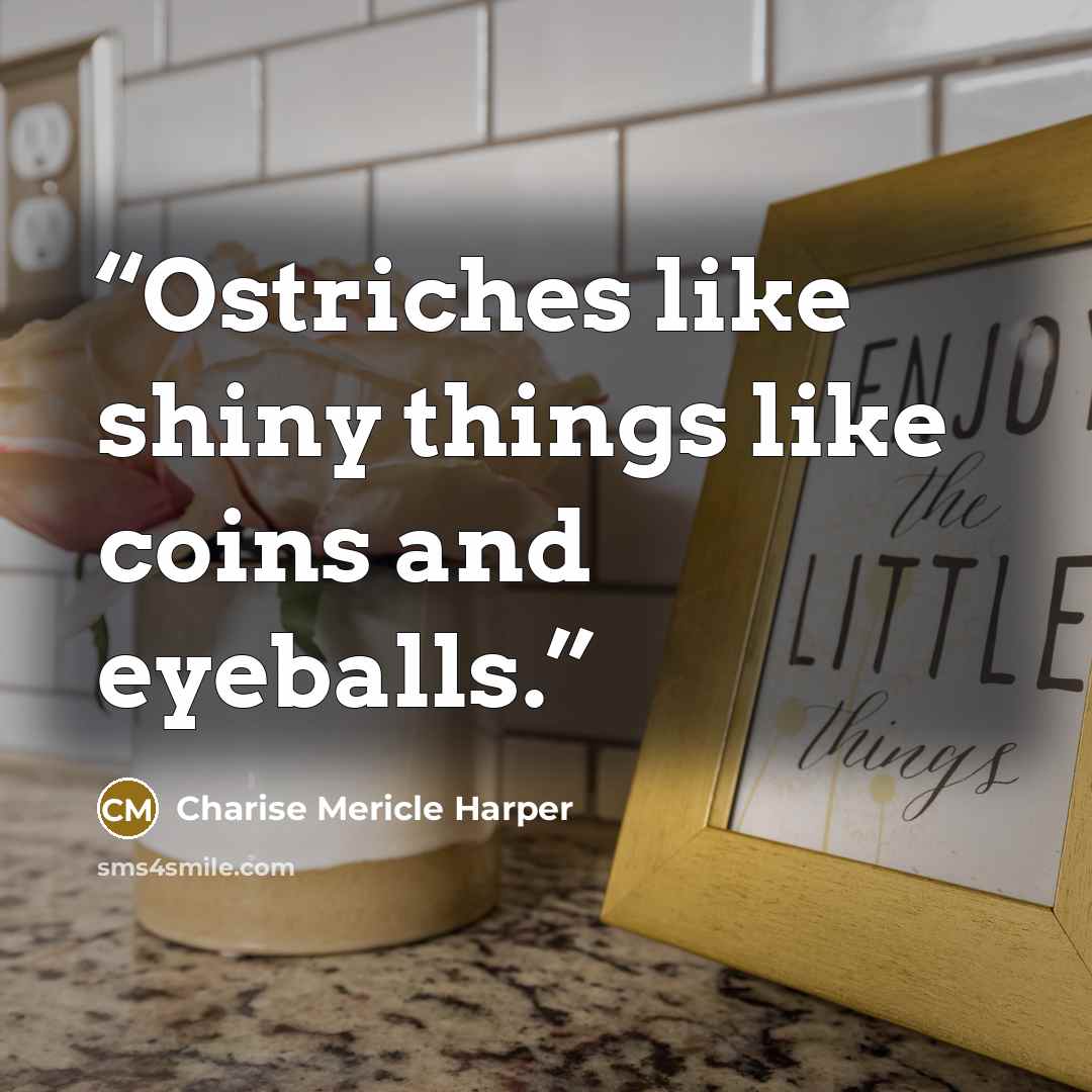 “Ostriches like shiny things like coins and eyeballs.” quote by Charise Mericle Harper