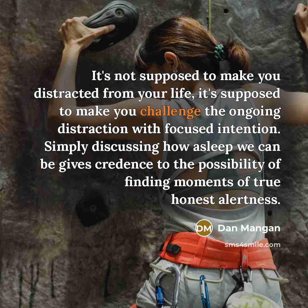 “It's not supposed to make you distracted from your life,…” quote by Dan Mangan