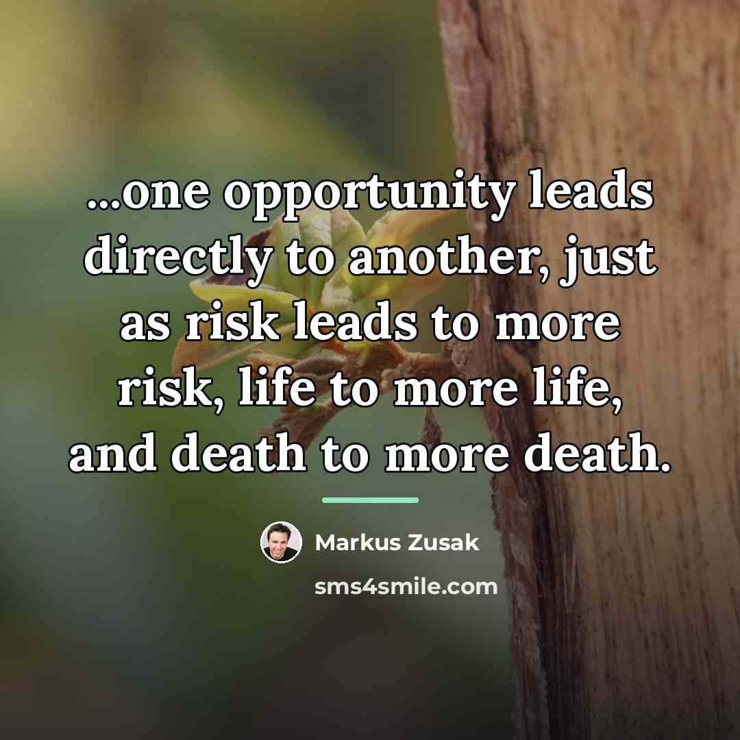 “...one opportunity leads directly to another, just as risk leads…” quote by Markus Zusak