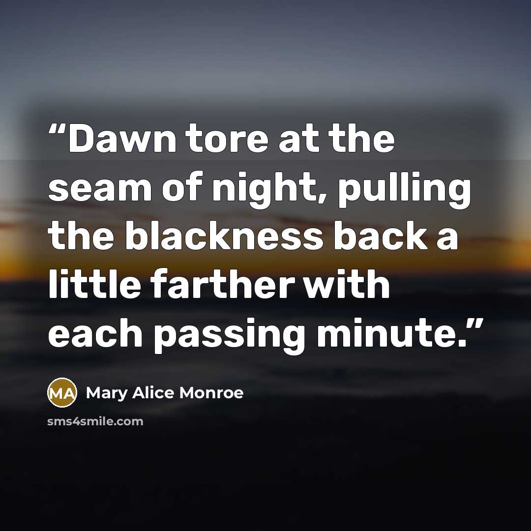 “Dawn tore at the seam of night, pulling the blackness back a little farther with each passing minute.” quote by Mary Alice Monroe