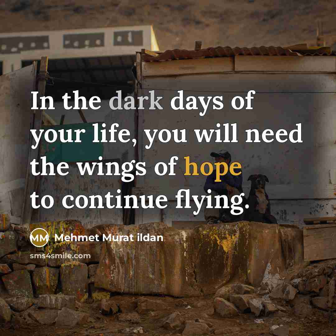 “In the dark days of your life, you will need…” quote by Mehmet Murat Ildan