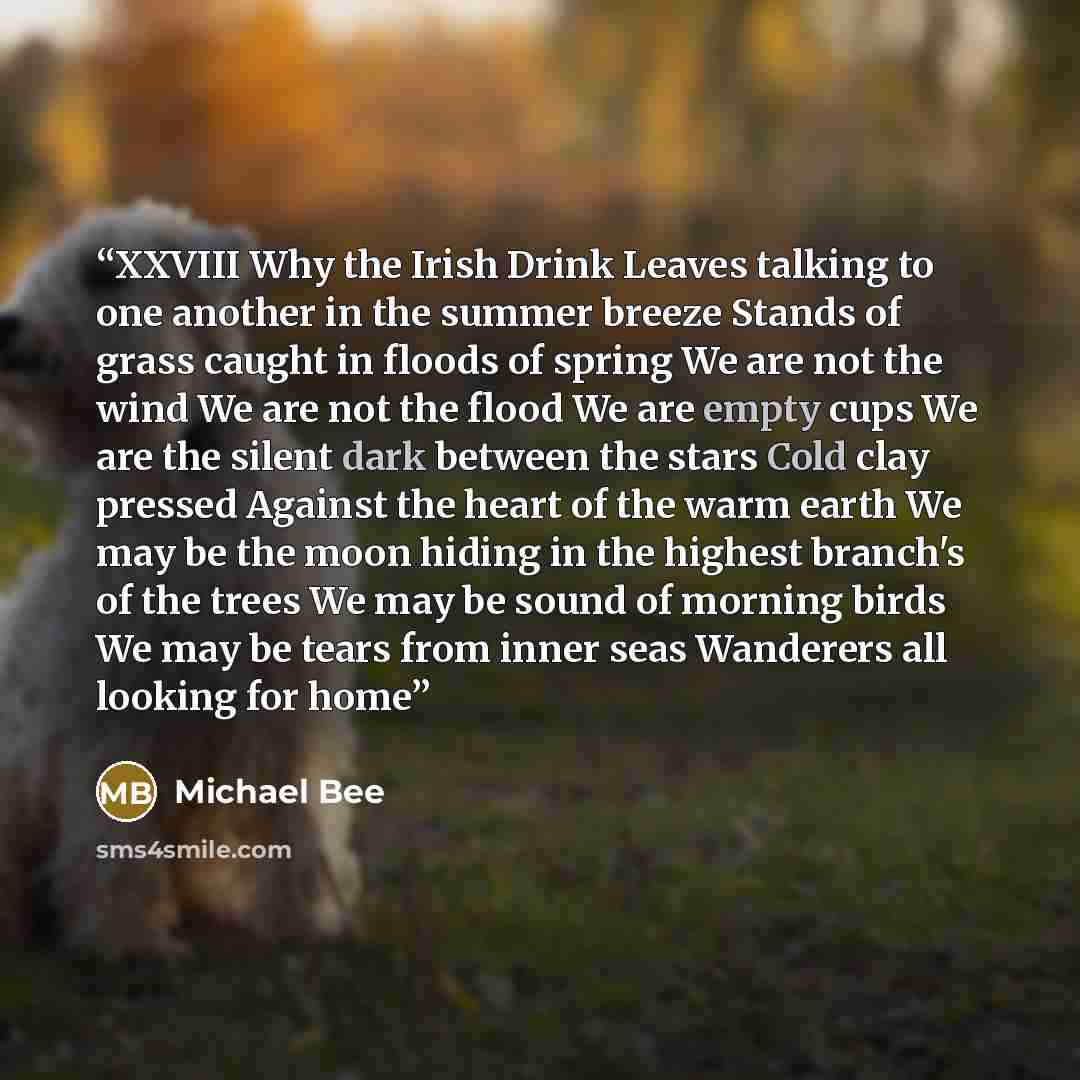 “XXVIII Why the Irish Drink Leaves talking to one another in the summer breeze Stands of grass caught in floods of spring We are not the wind We are not the flood We are empty cups We are the silent dark between the stars Cold clay pressed Against the heart of the warm earth We may be the moon…” quote by Michael Bee