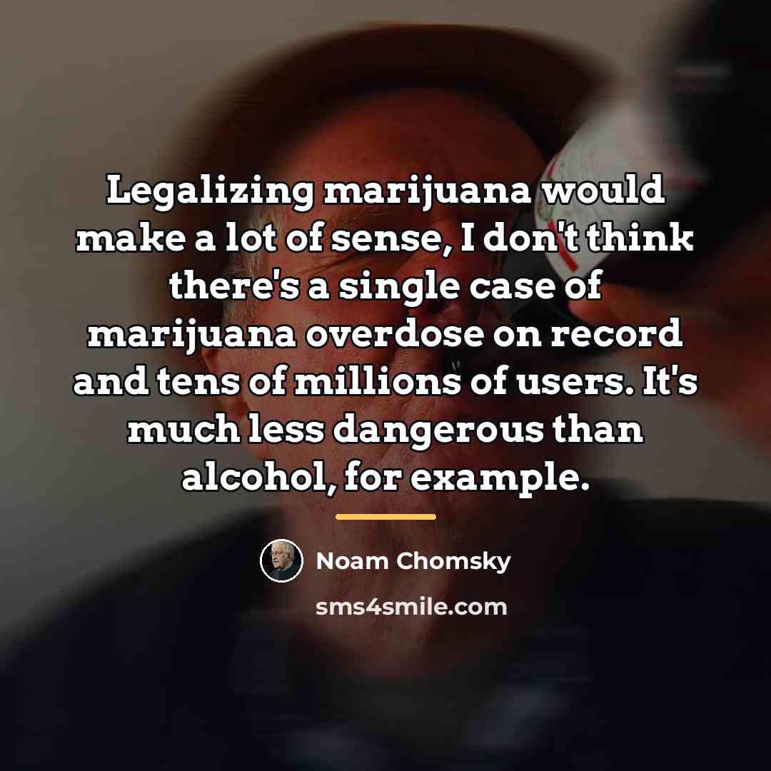 “Legalizing marijuana would make a lot of sense, I don't…” quote by Noam Chomsky