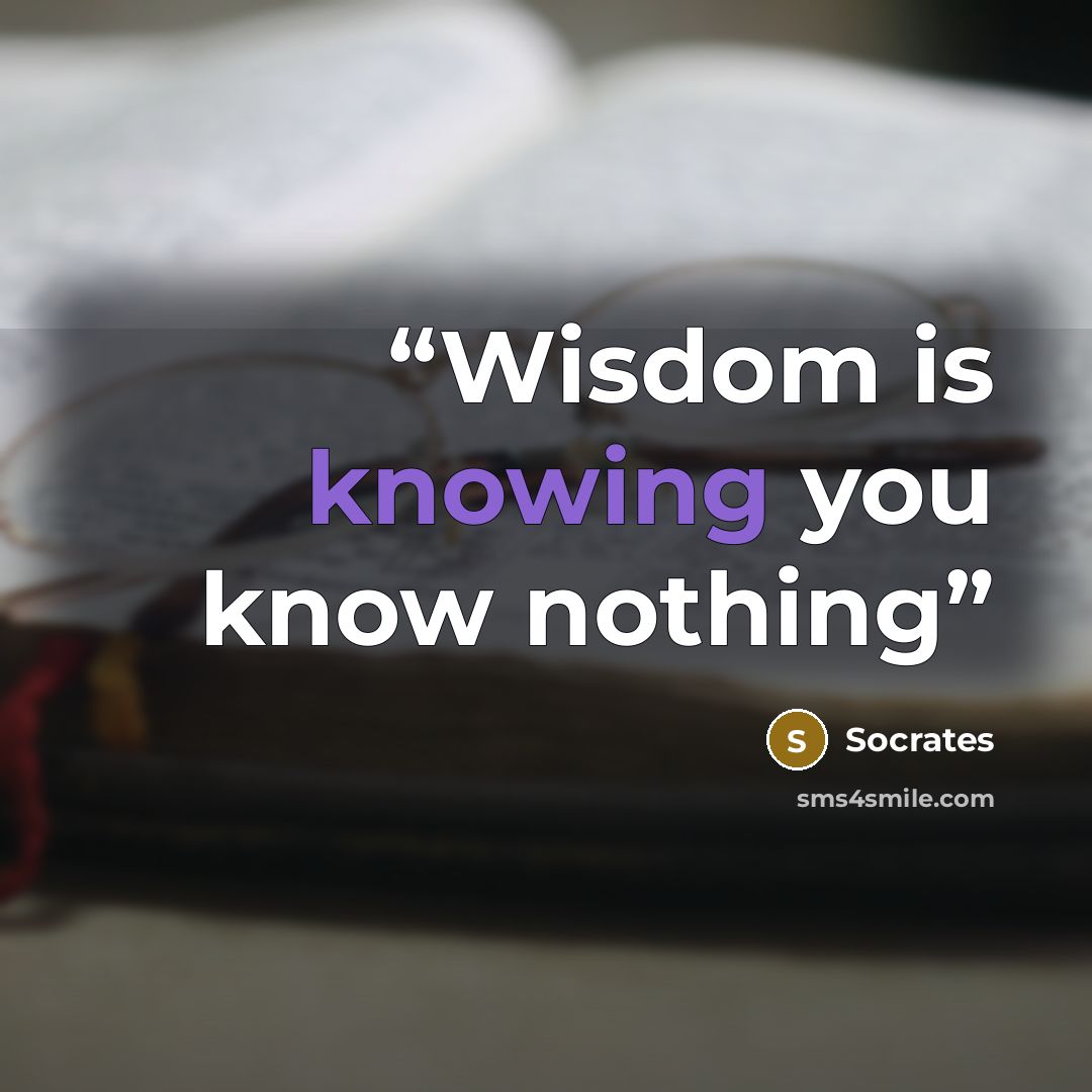 “Wisdom is knowing you know nothing” quote by Socrates