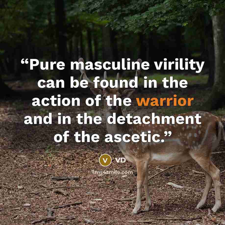 “Pure masculine virility can be found in the action of the warrior and in the detachment of the ascetic.” quote by VD
