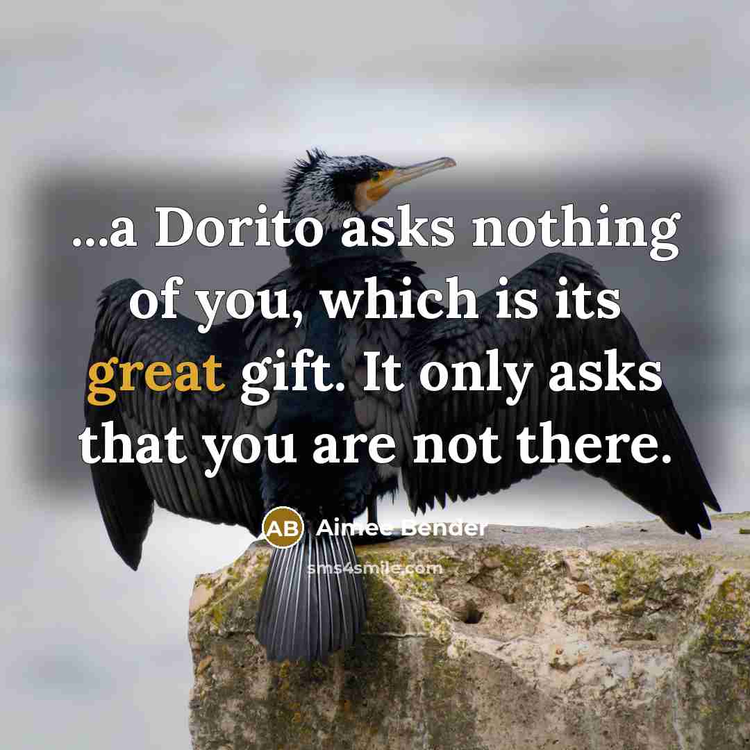 “...a Dorito asks nothing of you, which is its great…” quote by Aimee Bender