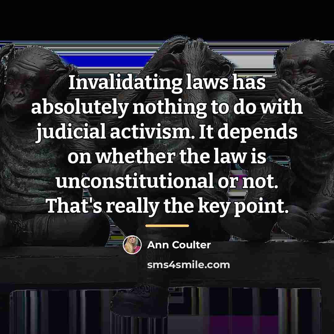 “Invalidating laws has absolutely nothing to do with judicial activism.…” quote by Ann Coulter