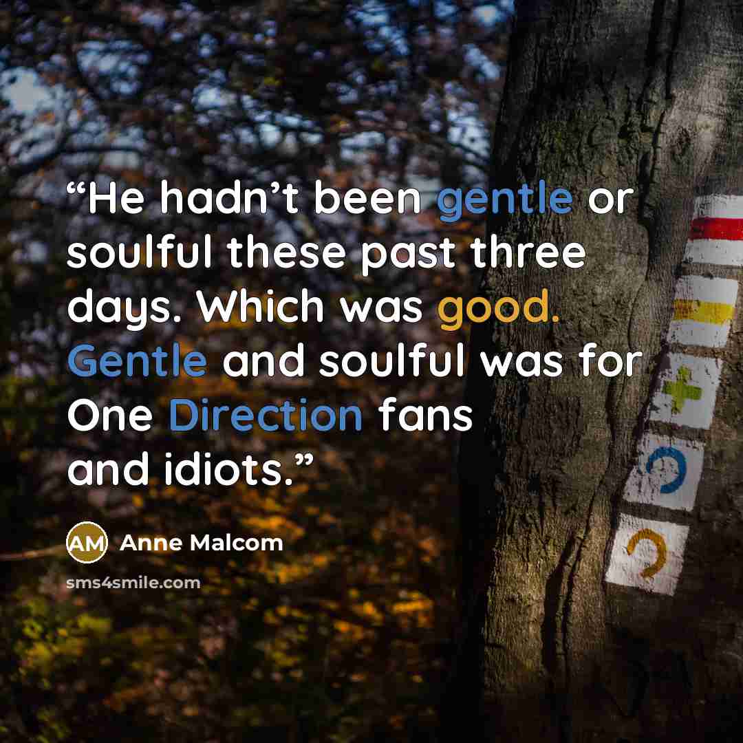 “He hadn’t been gentle or soulful these past three days. Which was good. Gentle and soulful was for One Direction fans and idiots.” quote by Anne Malcom