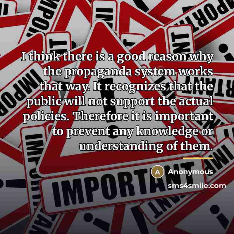 “I think there is a good reason why the propaganda…” quote by Anonymous