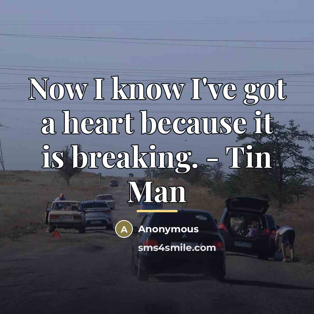 “Now I know I've got a heart because it is…” quote by Anonymous