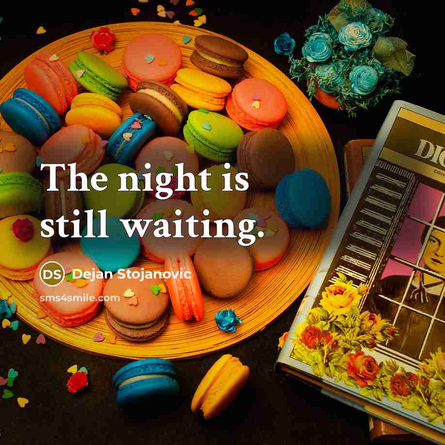 “The night is still waiting.…” quote by Dejan Stojanovic
