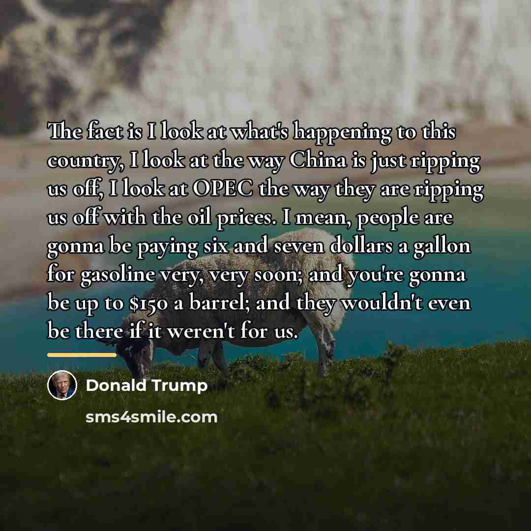 “The fact is I look at what's happening to this…” quote by Donald Trump
