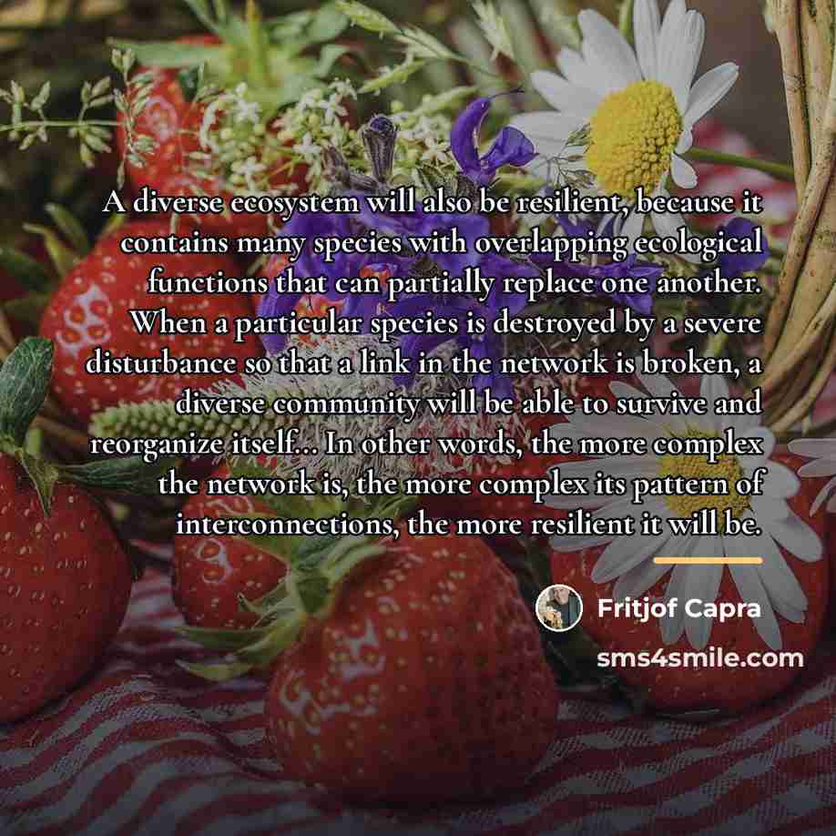 “A diverse ecosystem will also be resilient, because it contains…” quote by Fritjof Capra