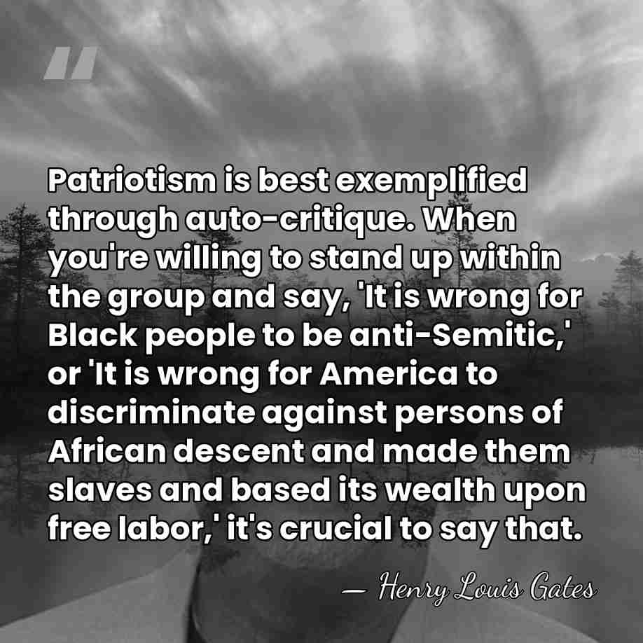 Patriotism is best exemplified through auto-critique. When you're willing to stand up&hellip; - Henry Louis Gates