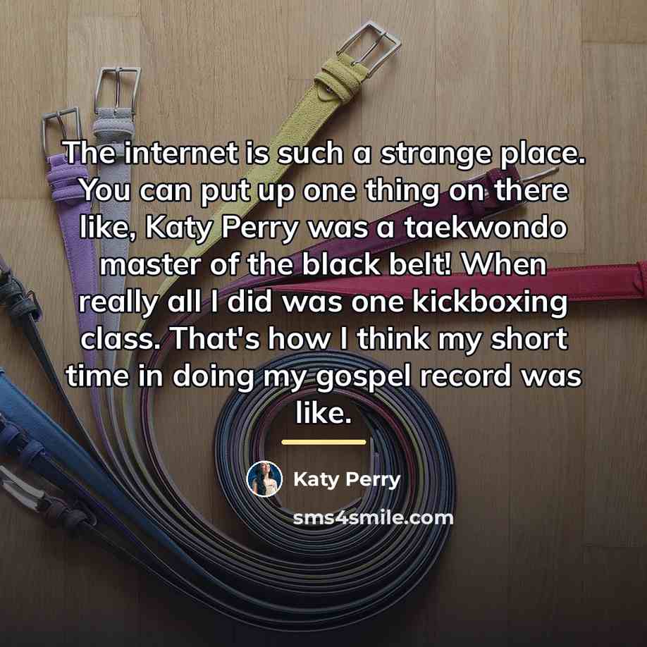 “The internet is such a strange place. You can put…” quote by Katy Perry