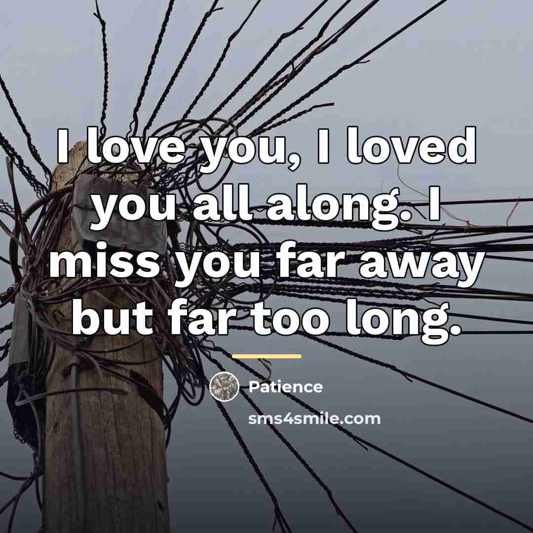 “I love you, I loved you all along. I miss…” quote by Patience