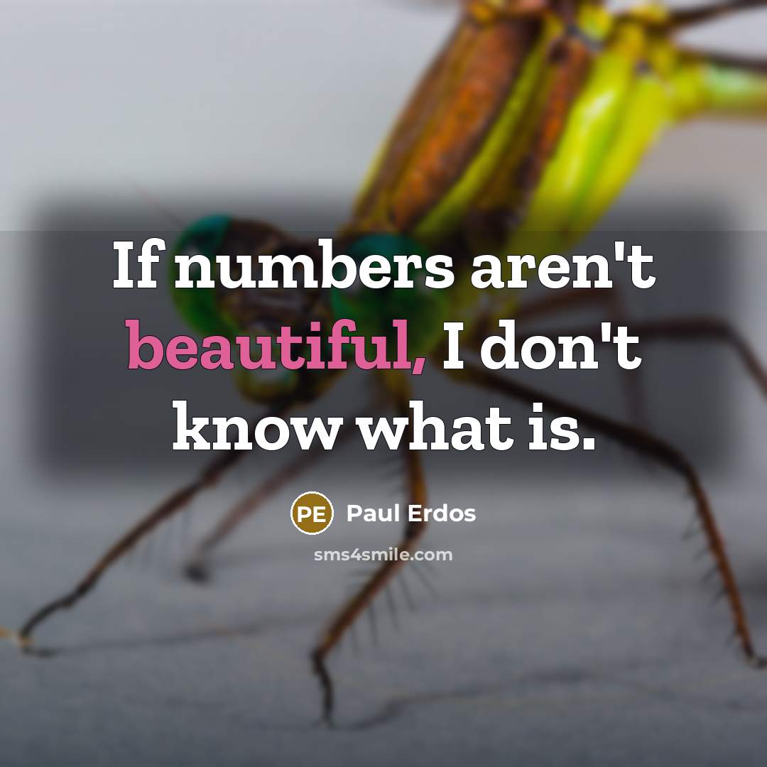 “If numbers aren't beautiful, I don't know what is.…” quote by Paul Erdos