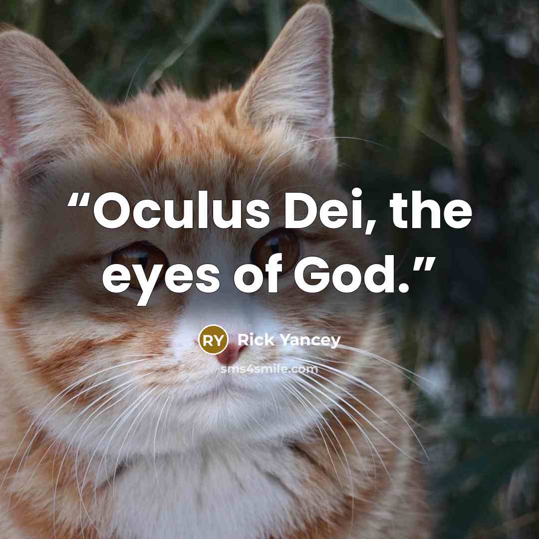 “Oculus Dei, the eyes of God.” quote by Rick Yancey
