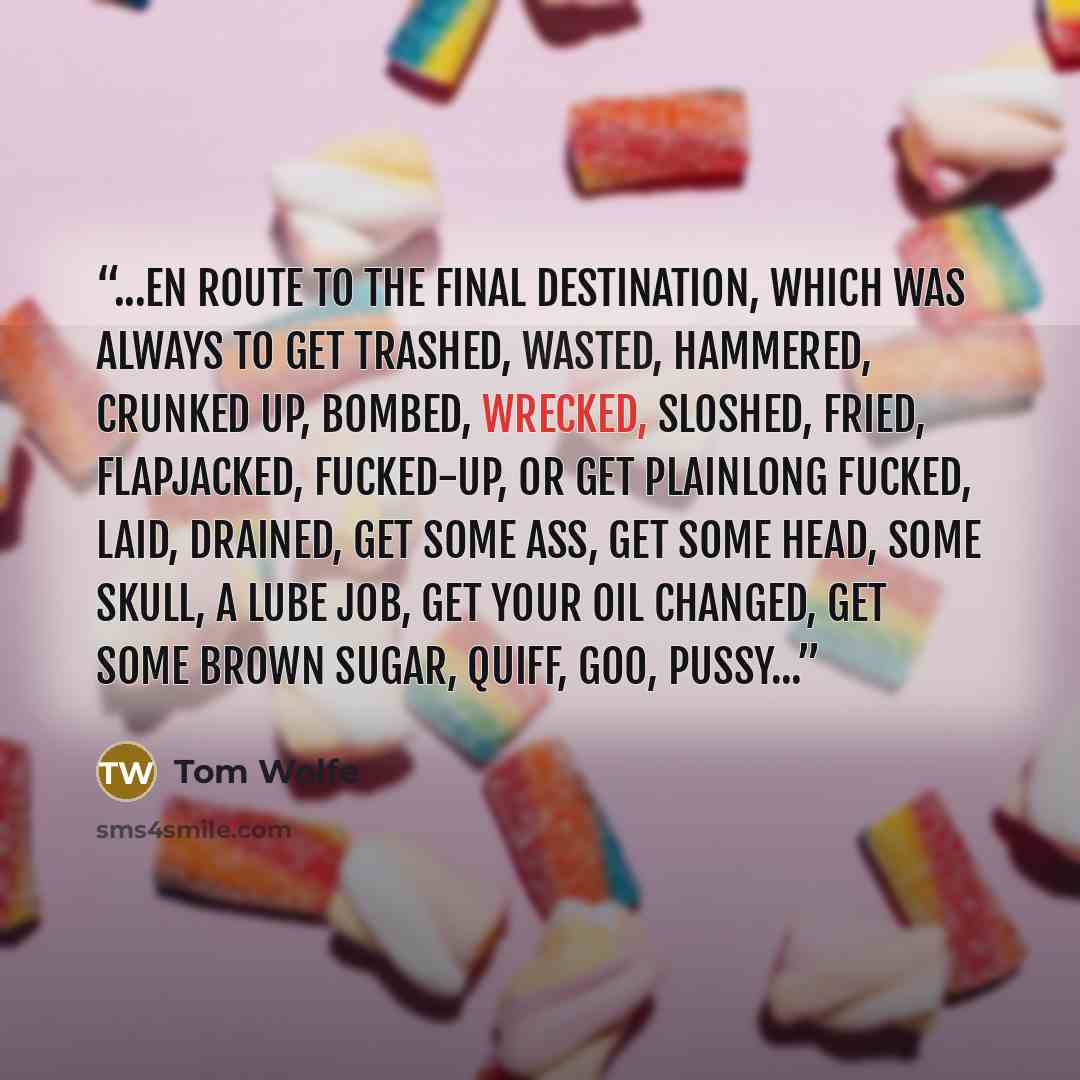 “...en route to the final destination, which was always to get trashed, wasted, hammered, crunked up, bombed, wrecked, sloshed, fried, flapjacked, fucked-up, or get plainlong fucked, laid, drained, get some ass, get some head, some skull, a lube job, get your oil changed, get some brown sugar…” quote by Tom Wolfe