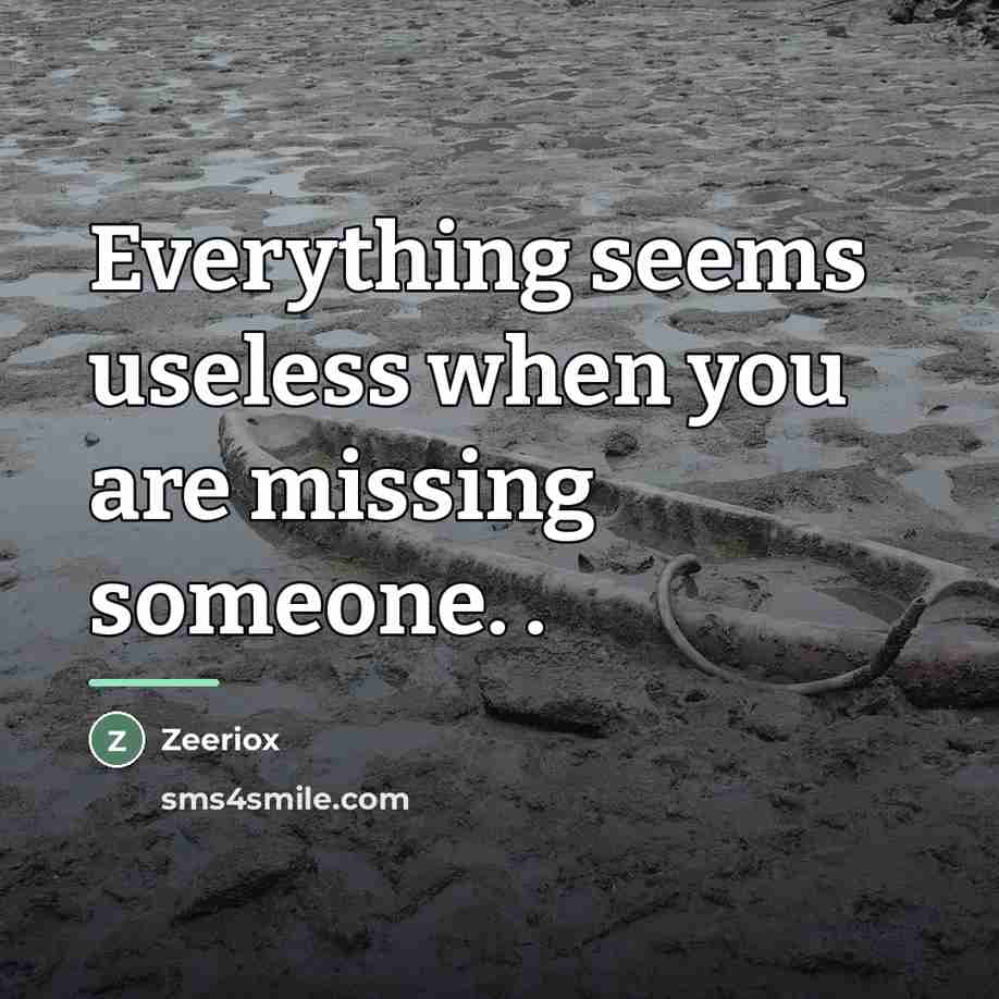 “Everything seems useless when you are missing someone. .…” quote by ZeerioX