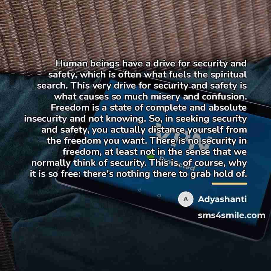 “Human beings have a drive for security and safety, which…” quote by Adyashanti