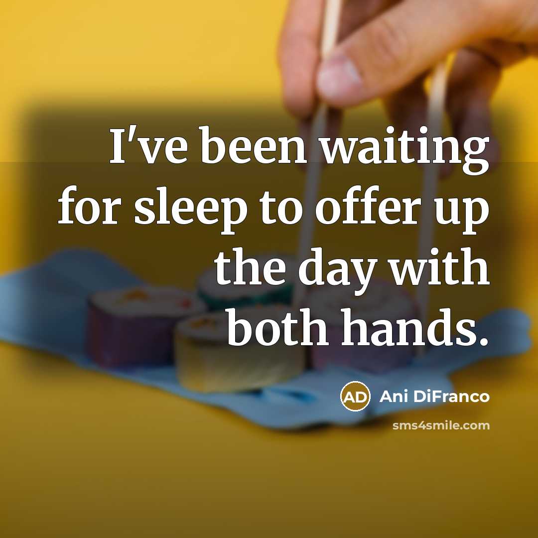 “I've been waiting for sleep to offer up the day…” quote by Ani DiFranco