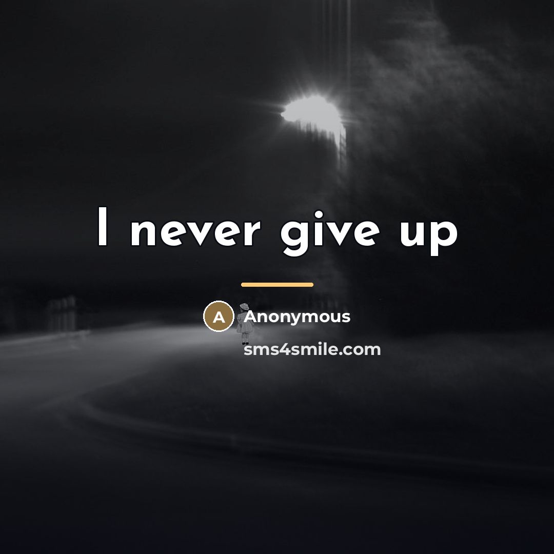 “I never give up…” quote by Anonymous