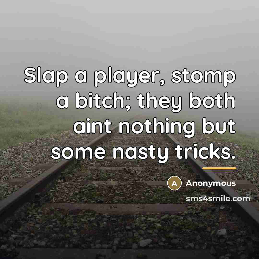 “Slap a player, stomp a bitch; they both aint nothing…” quote by Anonymous