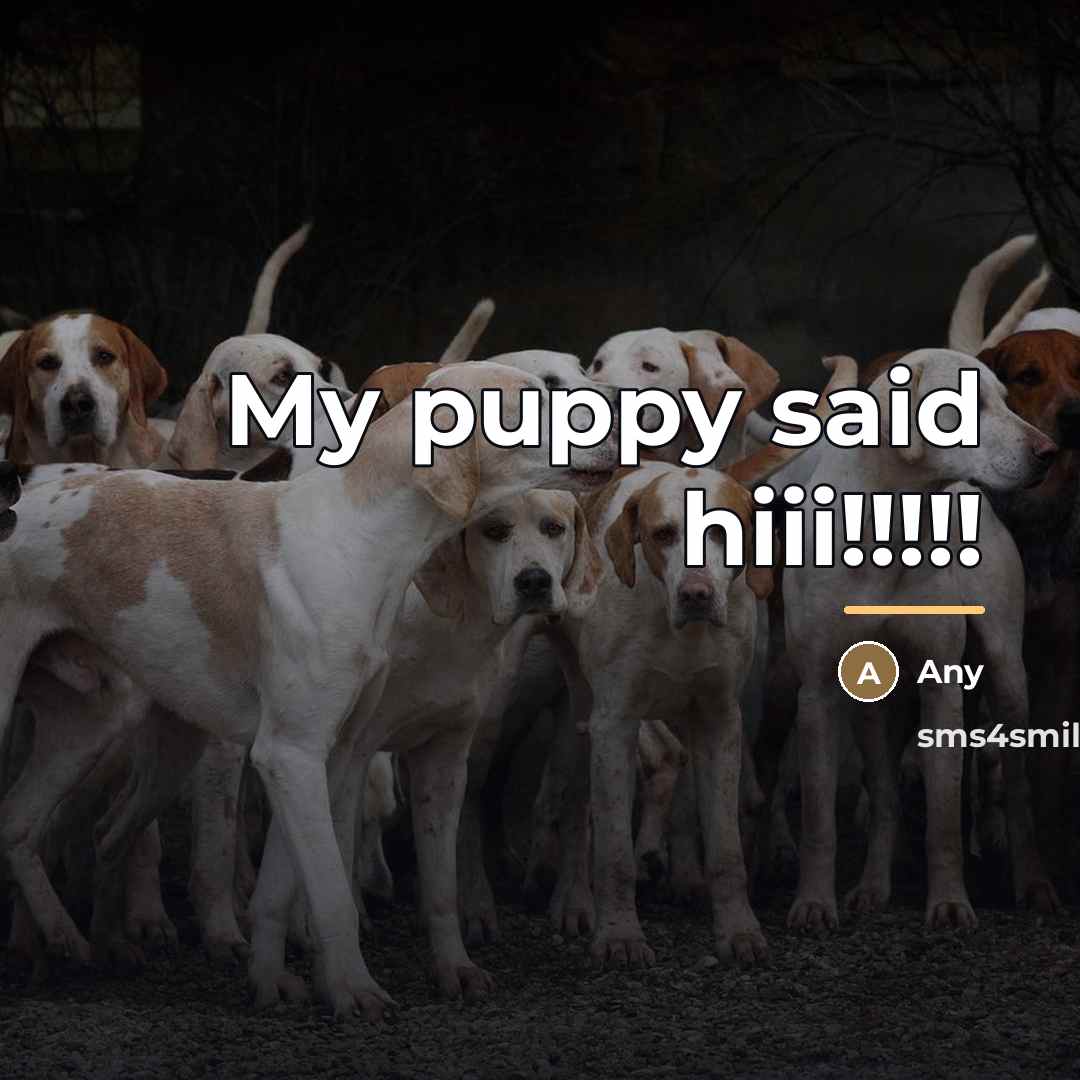 “My puppy said hiii!!!!!…” quote by Any