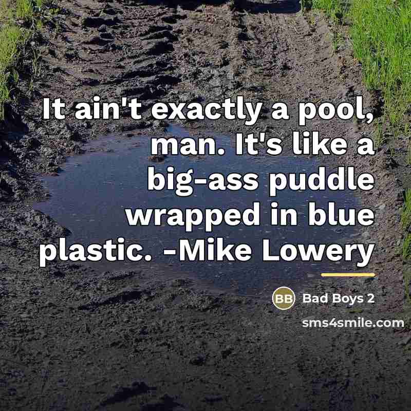 “It ain't exactly a pool, man. It's like a big-ass…” quote by Bad Boys 2