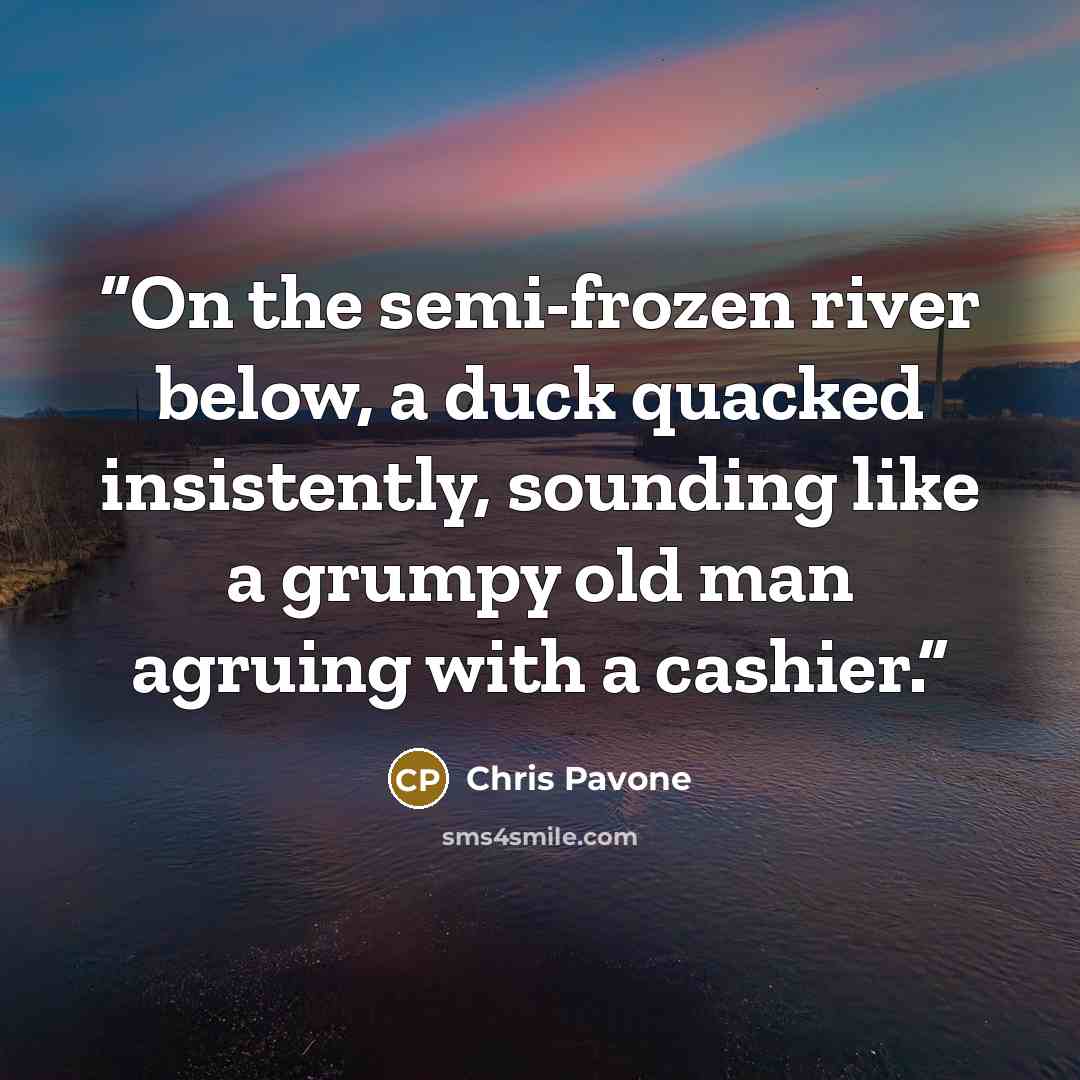 “On the semi-frozen river below, a duck quacked insistently, sounding like a grumpy old man agruing with a cashier.” quote by Chris Pavone