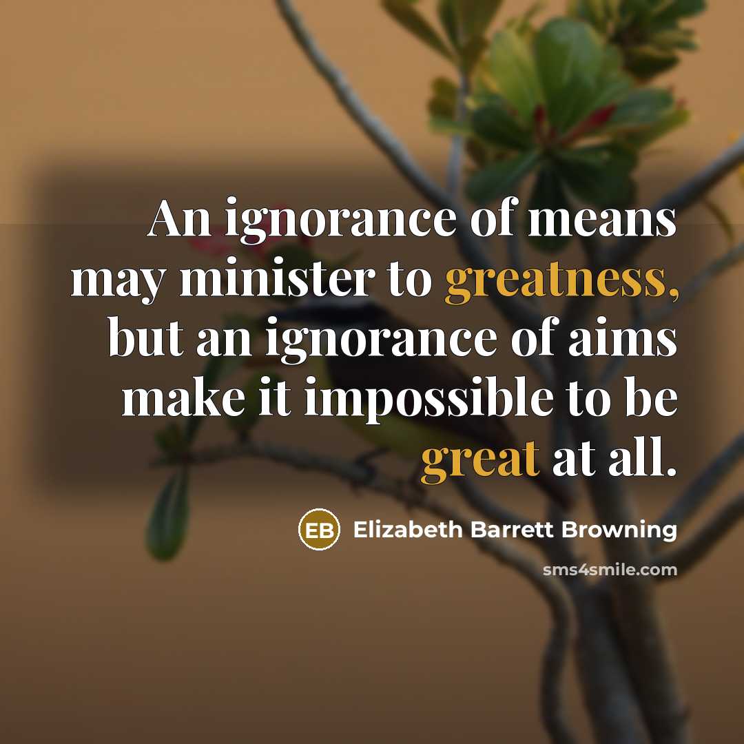 “An ignorance of means may minister to greatness, but an…” quote by Elizabeth Barrett Browning