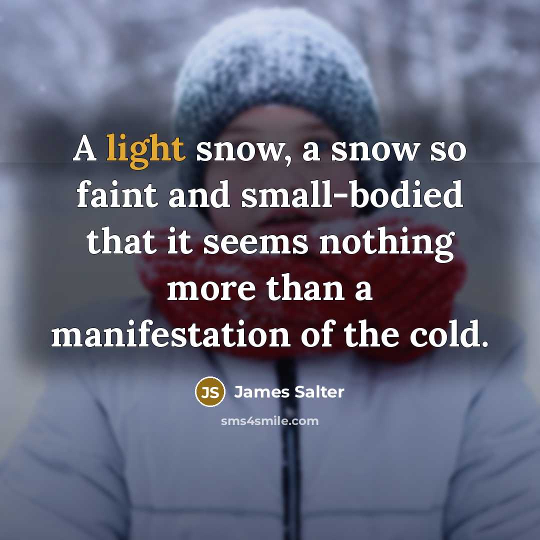“A light snow, a snow so faint and small-bodied that…” quote by James Salter