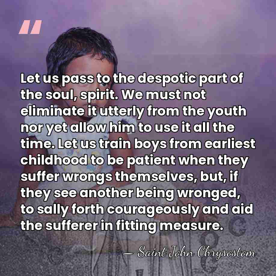 Let us pass to the despotic part of the soul, spirit. We&hellip; - Saint John Chrysostom