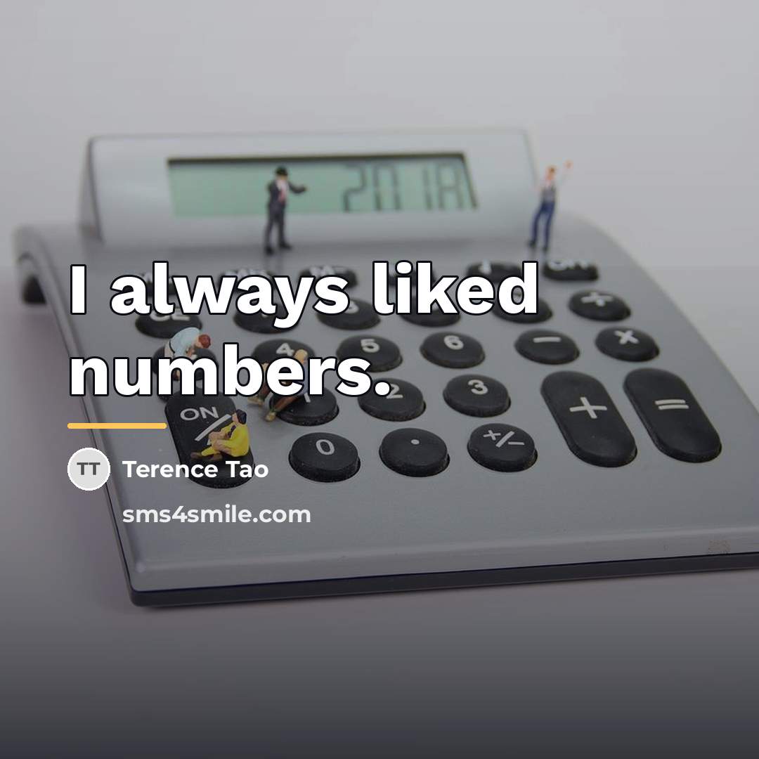 “I always liked numbers.…” quote by Terence Tao