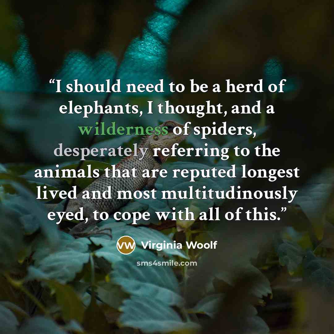 “I should need to be a herd of elephants, I thought, and a wilderness of spiders, desperately referring to the animals that are reputed longest lived and most multitudinously eyed, to cope with all of this.” quote by Virginia Woolf